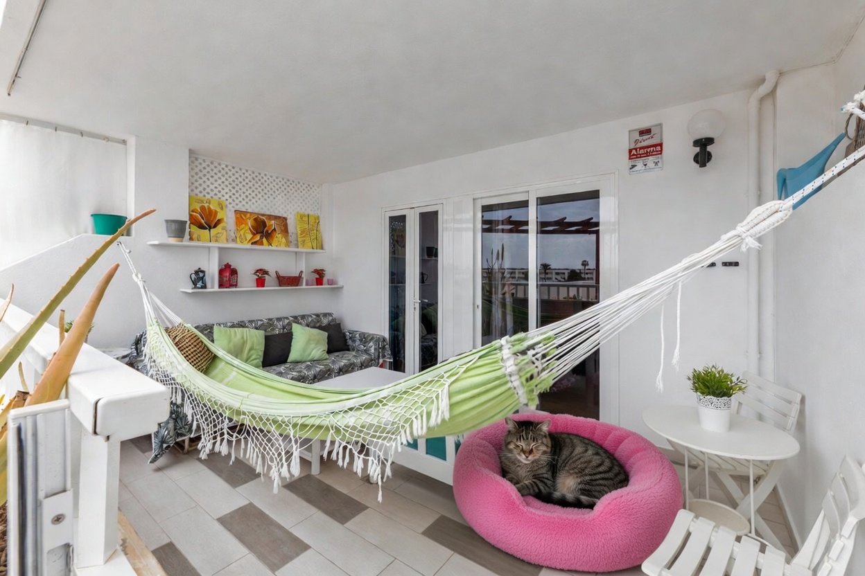 Perro jugando en el jardín del apartamento pet friendly en Costa Teguise